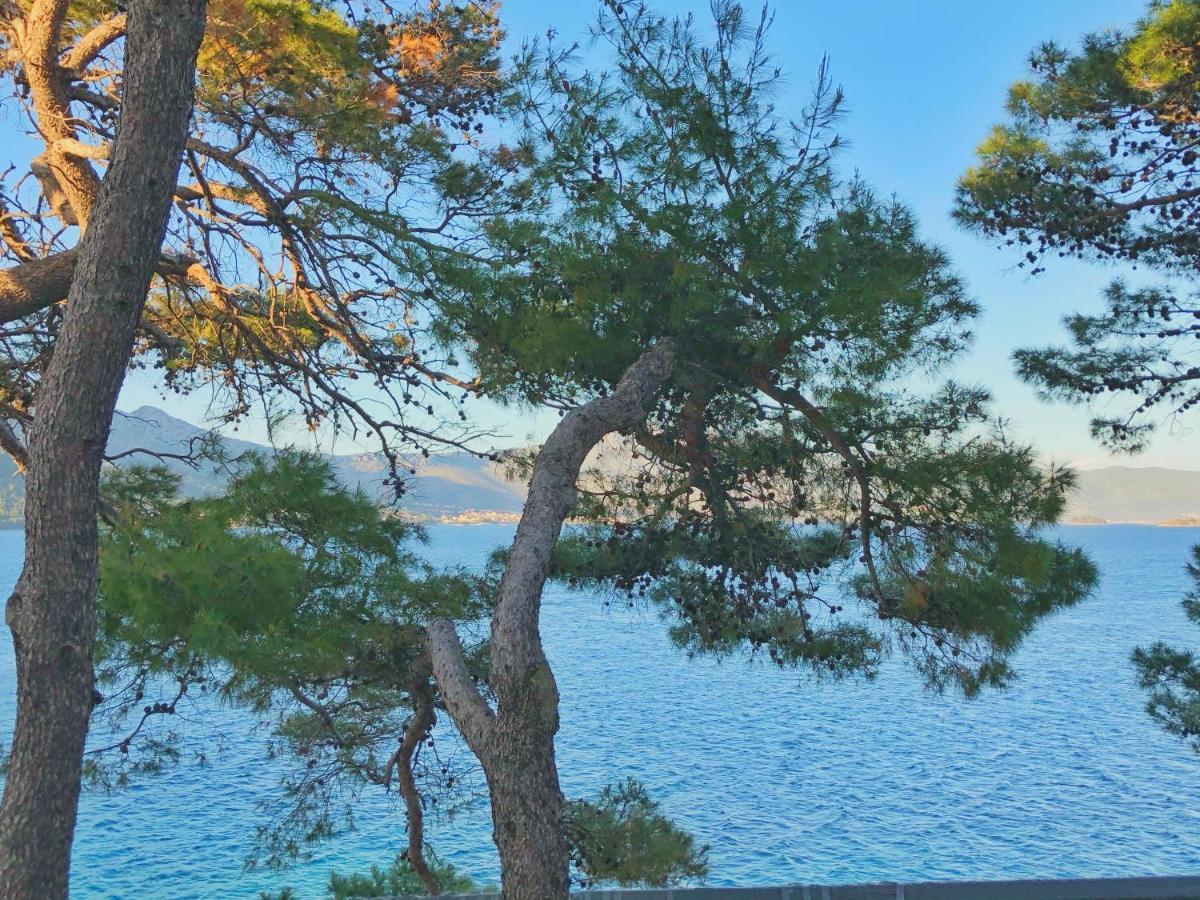Hotel Rondina House Korčula Exteriér fotografie